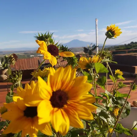 La Terrazza Di Cirico' *