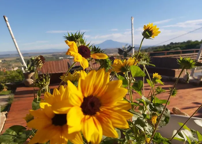 La Terrazza Di Cirico' *
