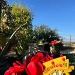 Gospodarstwo wiejskie La Terrazza Di Cirico' *